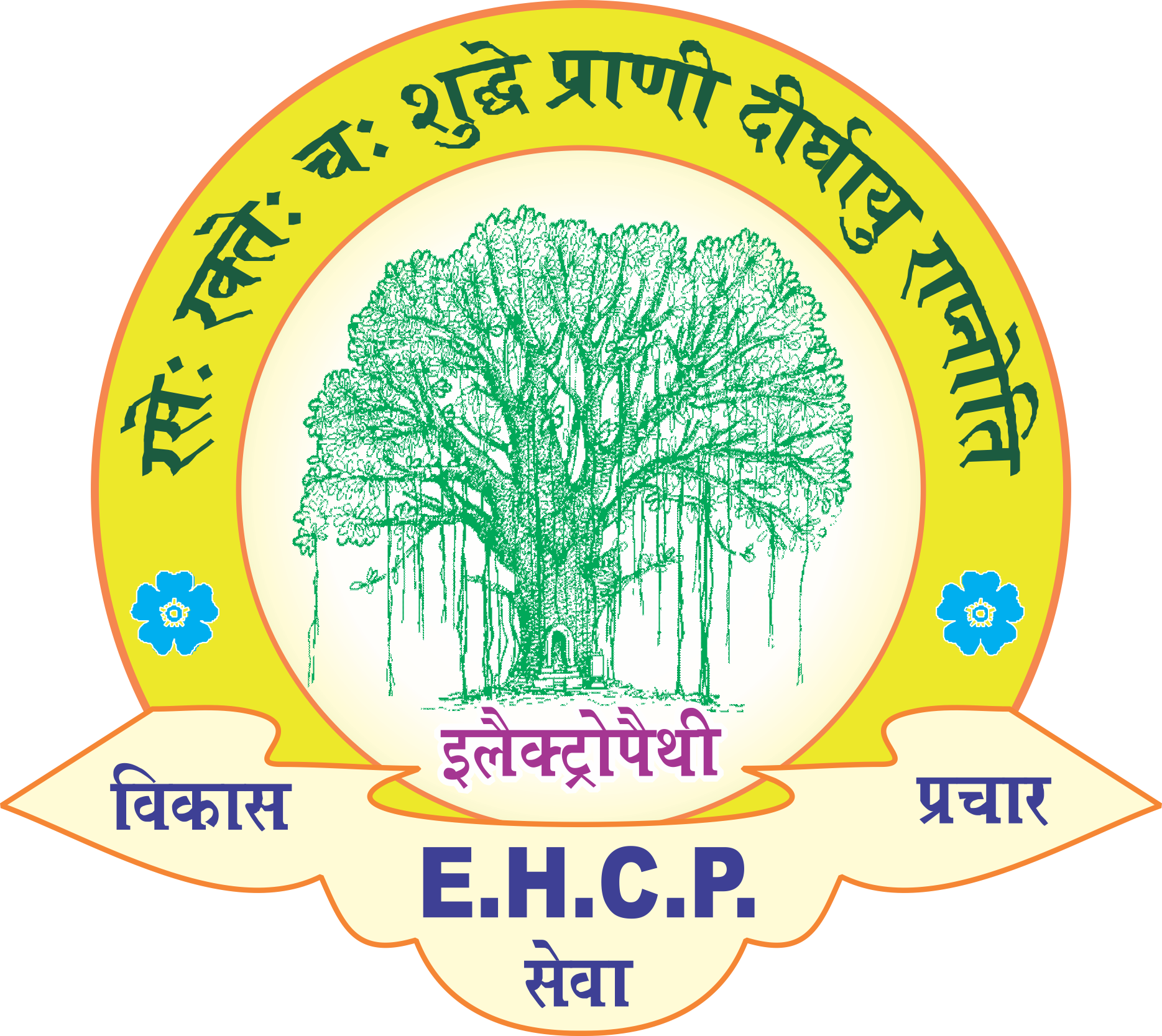 Electropathy EHCP